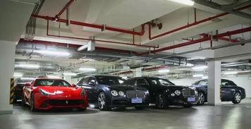 郑州豪车爆料视频网,揭秘城市繁华背后的奢华车流 第2张 郑州豪车爆料视频网,揭秘城市繁华背后的奢华车流 第2张